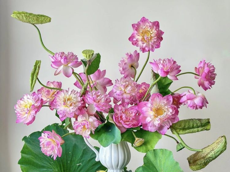Hướng dẫn chọn bình cắm hoa sen và bí kíp giúp hoa tươi lâu