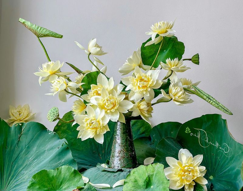 Hướng dẫn chọn bình cắm hoa sen và bí kíp giúp hoa tươi lâu